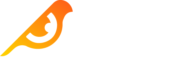 logo-birdeye 1